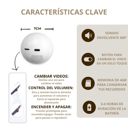 Esfera multimedia decorativa